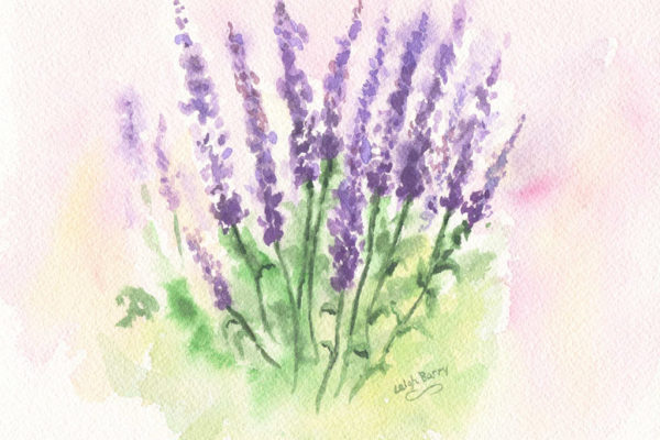 Calming Lavender Quotes for Peace of Mind Purple lavender field symbolizing peace and relaxation