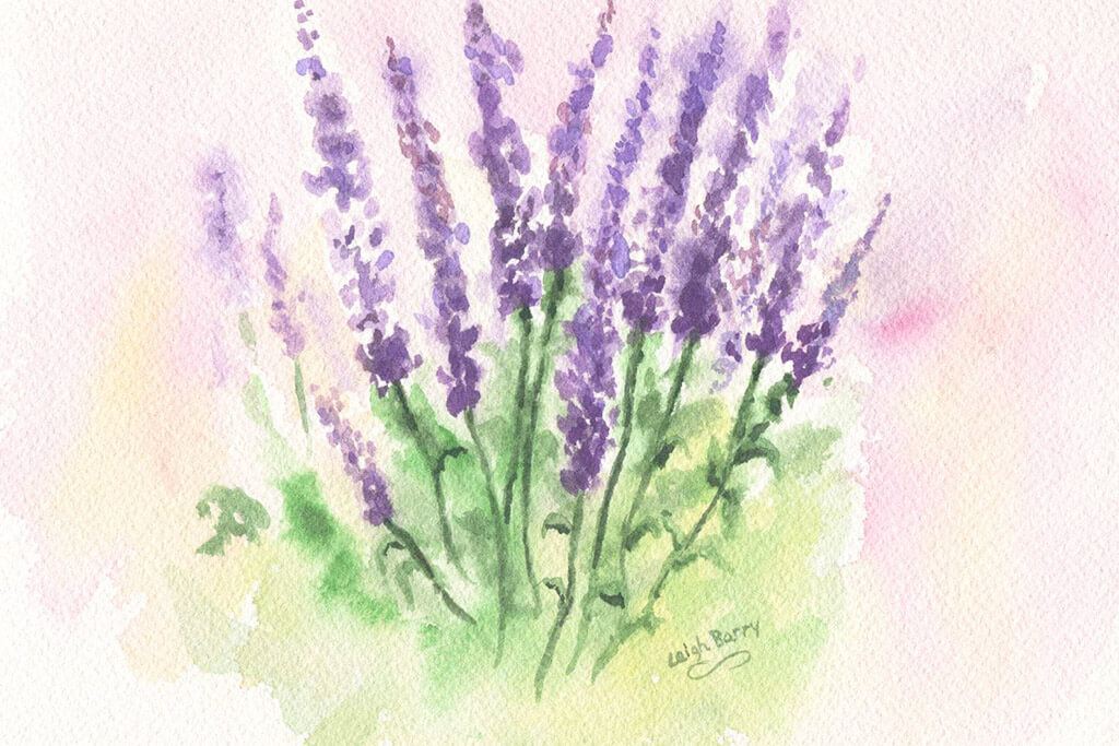 Lavender field depicting calm and serenity