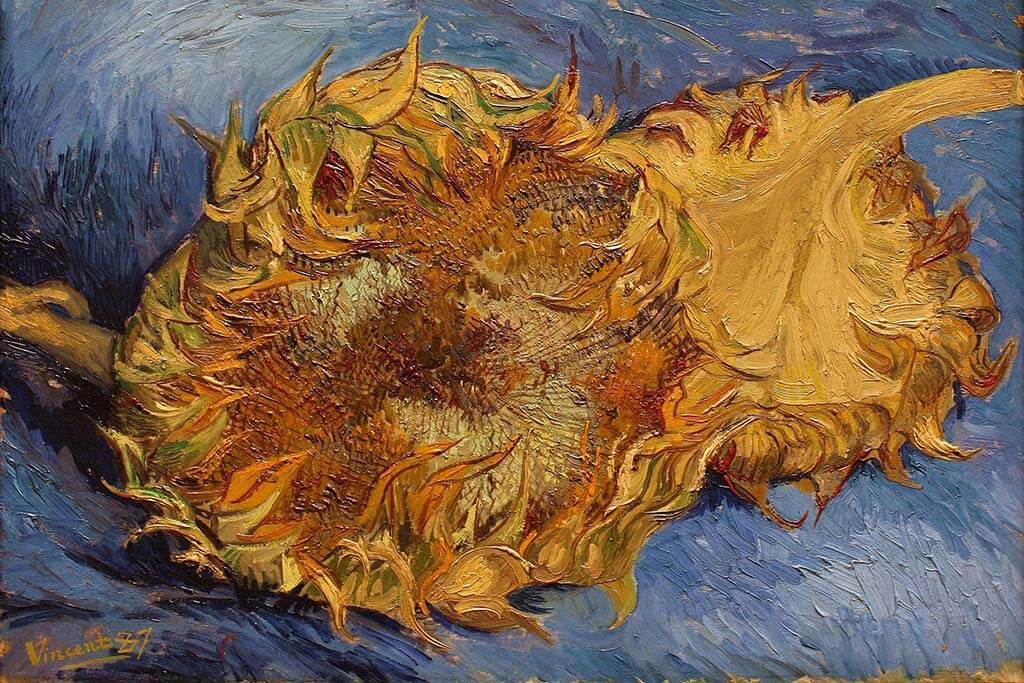 Bright sunflower representing loyalty and positivity